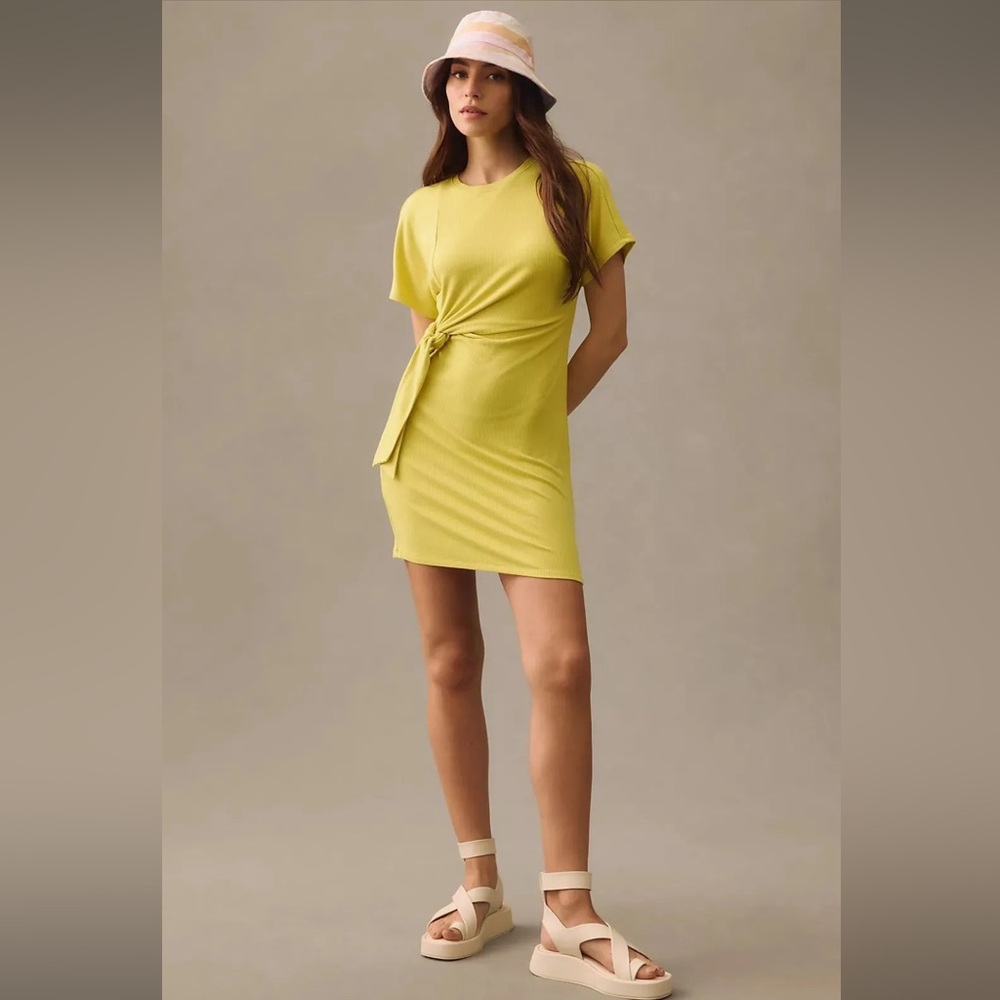 NWT Nico Tie-Waist Dress